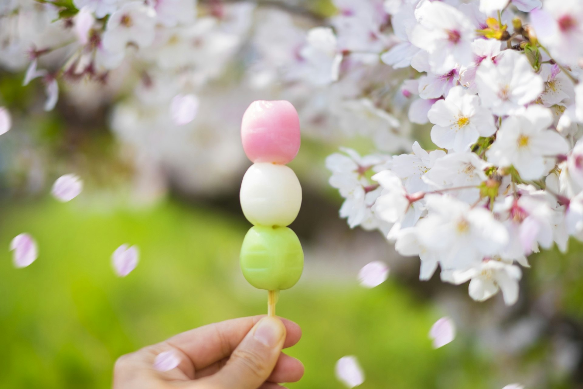 Sanshoku (three color) dango